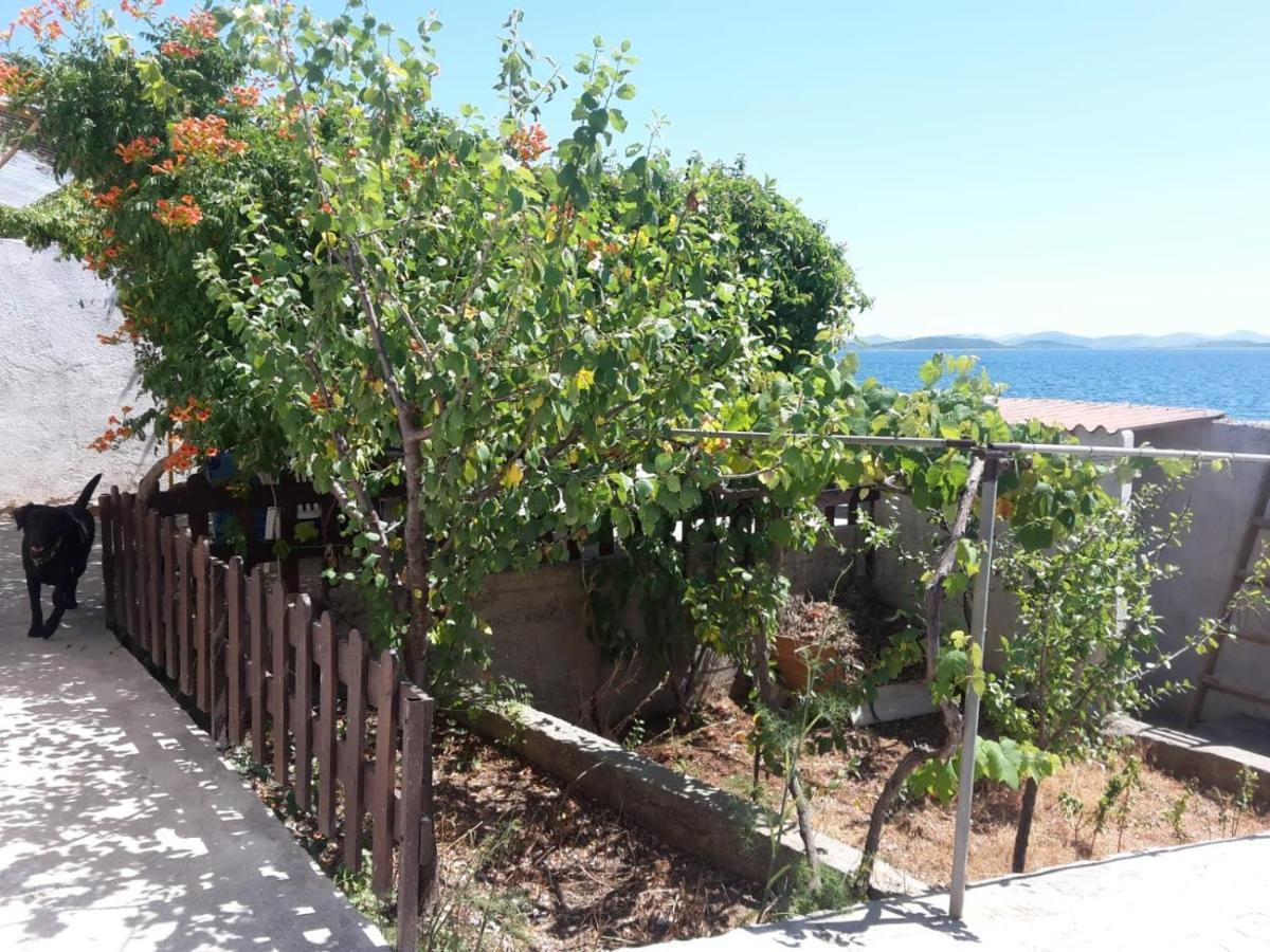 فيلا Sea House Anka Banj المظهر الخارجي الصورة