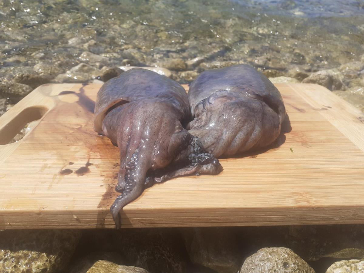 فيلا Sea House Anka Banj المظهر الخارجي الصورة